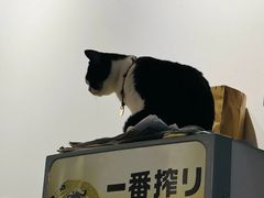 -原田新料理(1912店)