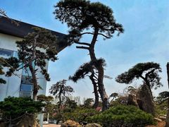 -罗红摄影艺术馆