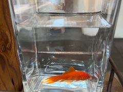 -瓦库茶馆17号(海汇港店)