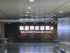 -张家界荷花国际机场