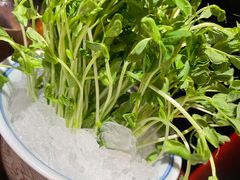 豆苗-大隐·成都火锅Bistro(合生麒麟新天地店)