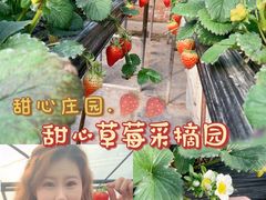 -甜心庄园·甜心草莓采摘园(西青中北店)