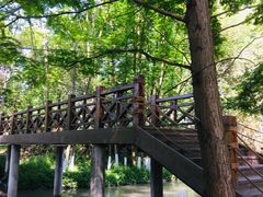 -桤木河湿地公园