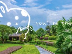 -北岭山森林公园