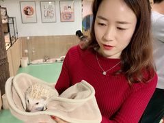 -藦茜花园宠物主题亲子互动体验馆(国顺东路店)