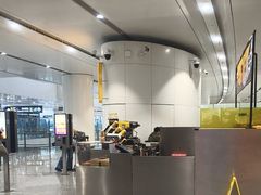 -麦当劳(北京大兴机场二层国内到达(安检外)店)