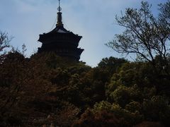 -浙江西子宾馆·瑶园咖啡厅