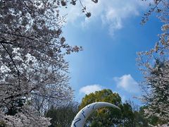 -杭州少年儿童公园
