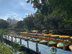 -晓港公园