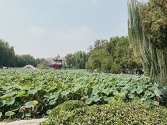 -莲池书院博物馆