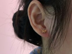 -花师傅