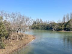 -上海海湾国家森林公园