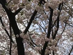 -苏州上方山国家森林公园