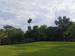 -中国科学院西双版纳热带植物园