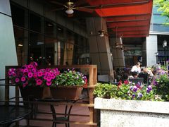 -The COOK·厨餐厅·自助餐(浦东嘉里大酒店)
