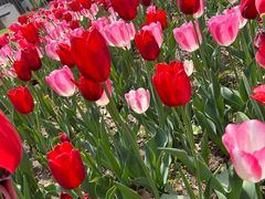 -玄武湖景区-情侣园游乐场