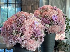 -希尔顿南海酒店·观廊大堂吧·海景下午茶