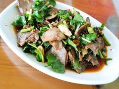 -皖北羊肉汤牛肉汤