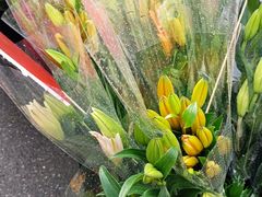 -循礼门鲜花花市(武汉循礼门店)