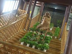 -普陀山佛顶山索道