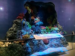 -中国湿地博物馆