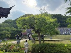 -苏州上方山国家森林公园