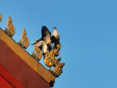 -塔銮寺