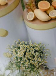 -天邑国际酒店·宴会厅