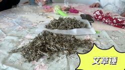 -玥奢国际母婴护理中心(滨江宝龙店)