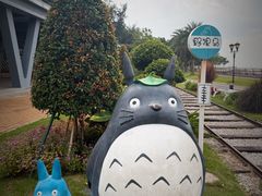 -野狸岛