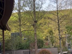 -东明山森林公园