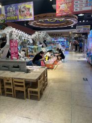 -卡通尼·Safari非洲探索乐园·生日会(金桥国际商业广场店)