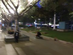 -珠江夜游广州塔·中大码头