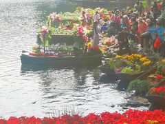 -荔湾湖公园
