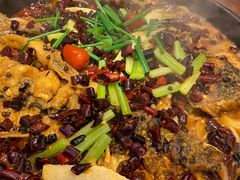 -老板恋上鱼(印象城店)