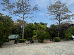 -广东惠东海龟国家级自然保护区