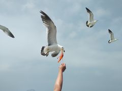 -海驴岛(荣成市)