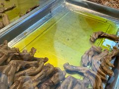 -王浩儿纪六孃甜皮鸭(乐山总店)
