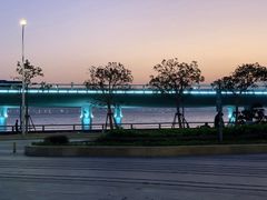 -演武大桥观景平台