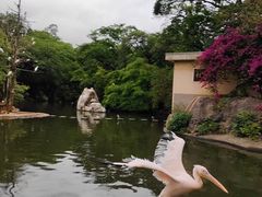 -昆明动物园