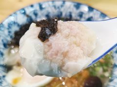 鲜肉虾仁双拼-南塘巷弄里馄饨铺(马鞍池店)