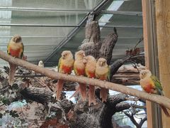 -西霞口神雕山野生动物世界