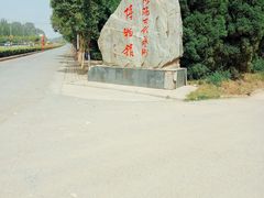 -洛阳古墓博物馆