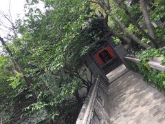 -老张烤羊(王哥庄店)