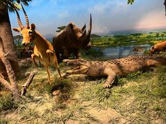 -国家自然博物馆