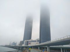 -演武大桥观景平台