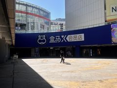 -盒马X会员店(王府井奥莱UP TOWN店)