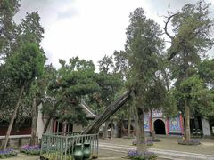 -南阳卧龙岗武侯祠