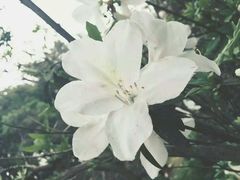 -华南国家植物园-售票处