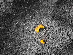 -西北湖绿化广场